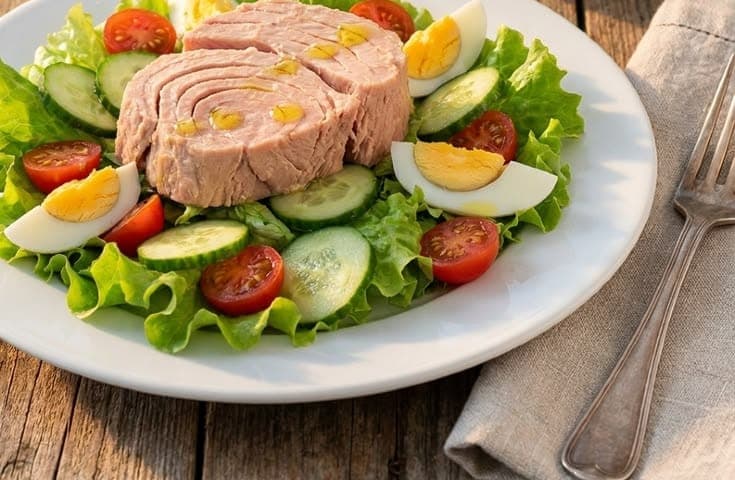 Thunfisch in Sonnenblumenöl